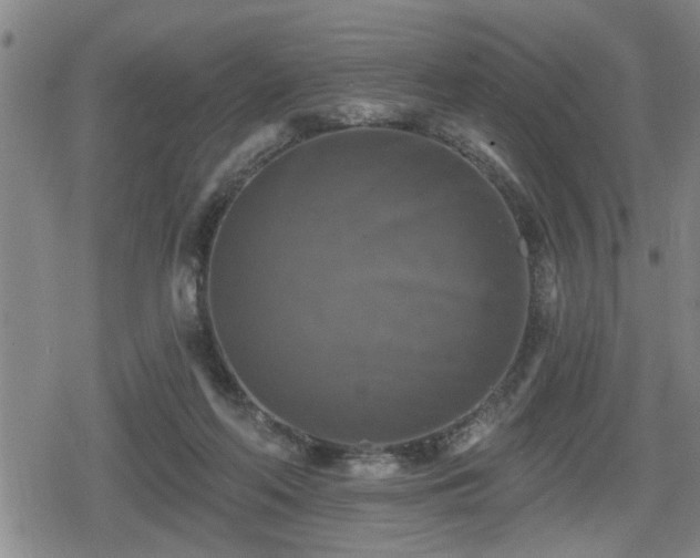 X0000080690214200612221101