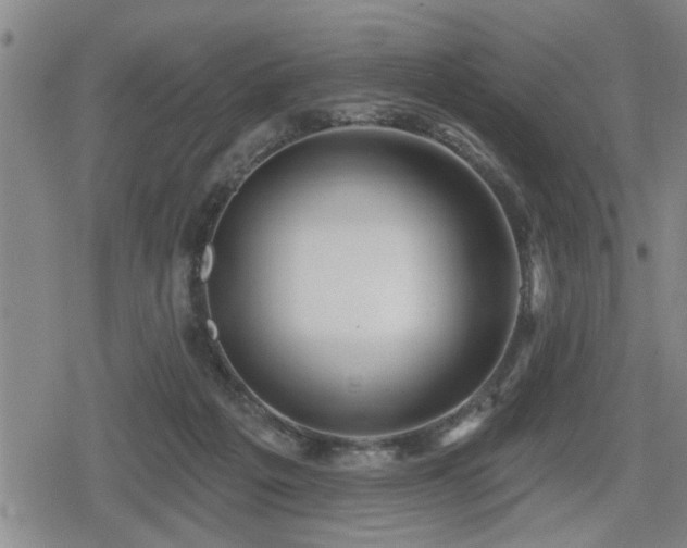 X0000080690217200612221101