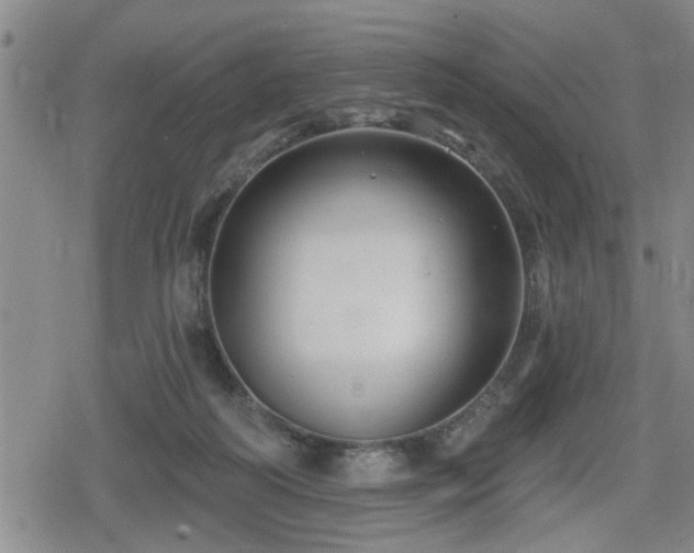 X0000080690218200612221101