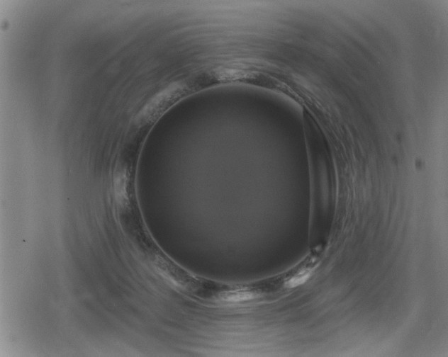 X0000080690219200612221101