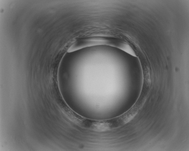 X0000080690221200612221101