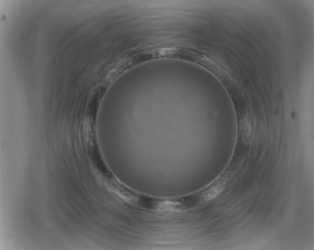 X0000080690222200612221101