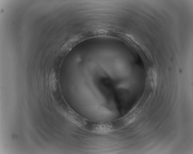 X0000080690223200612221100