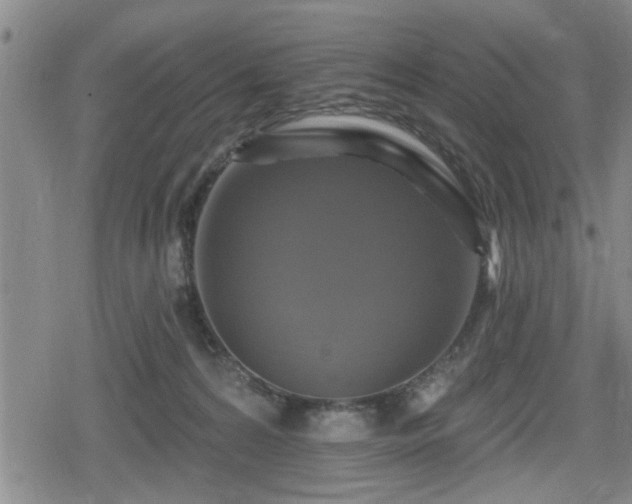 X0000080690224200612221100