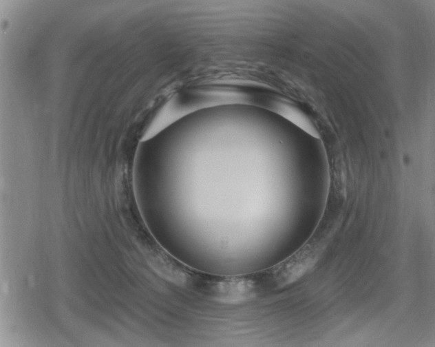 X0000080690225200612221100