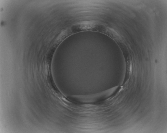 X0000080690227200612221100