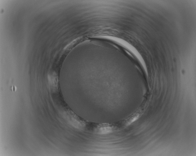 X0000080690228200612221100