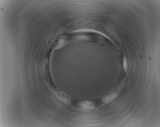 X0000080690229200612221100