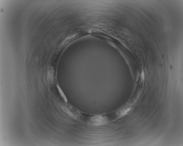 X0000080690231200612221100