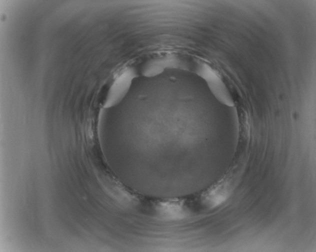 X0000080690232200612221100