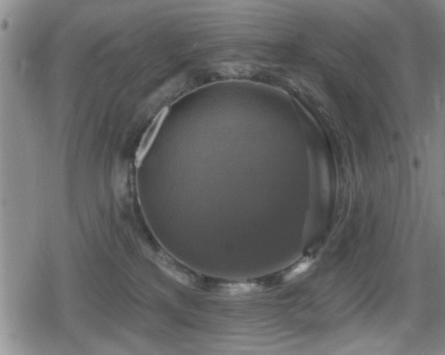 X0000080690233200612221100