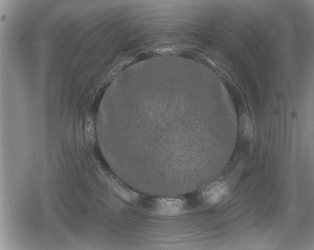 X0000080690234200612221100