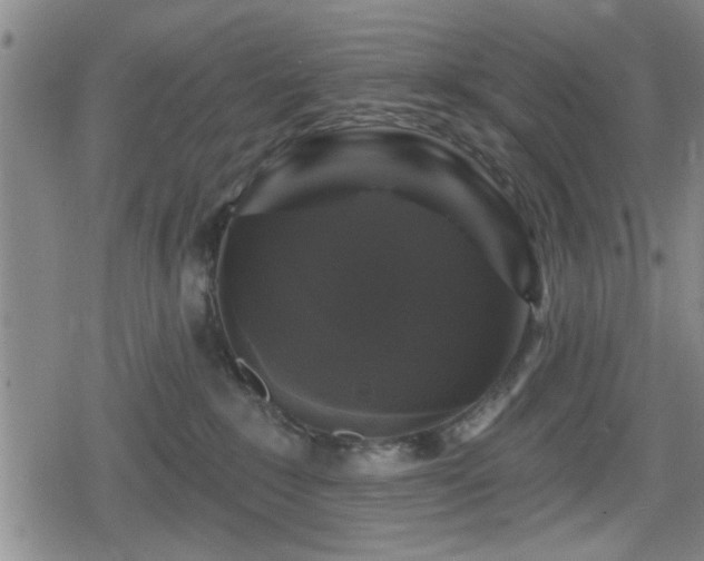 X0000080690235200612221100