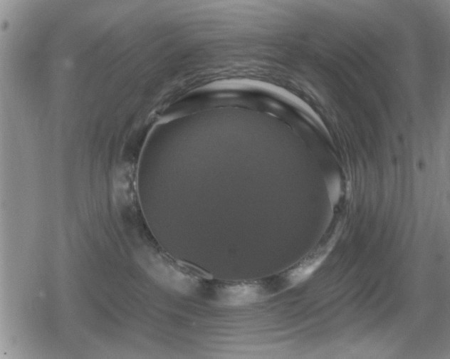 X0000080690237200612221100