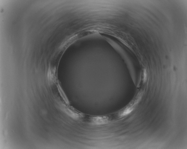 X0000080690239200612221100