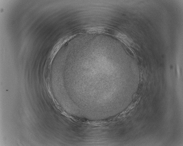 X0000080690241200612221059