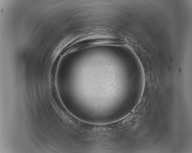 X0000080690242200612221059