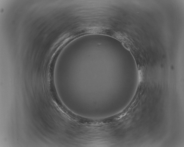 X0000080690243200612221059