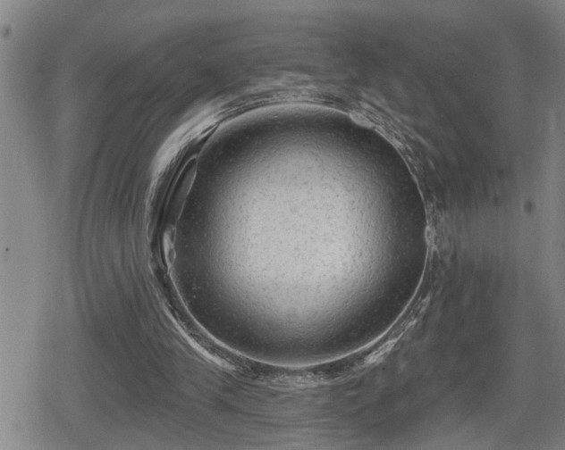 X0000080690245200612221100