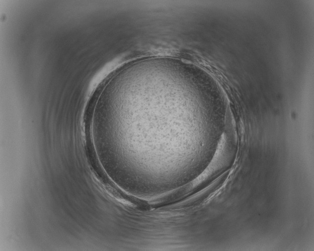 X0000080690246200612221100