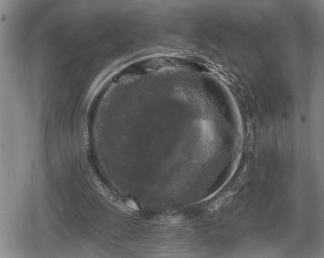 X0000080690247200612221100