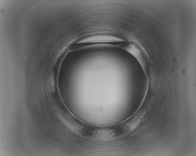 X0000080690251200612221100