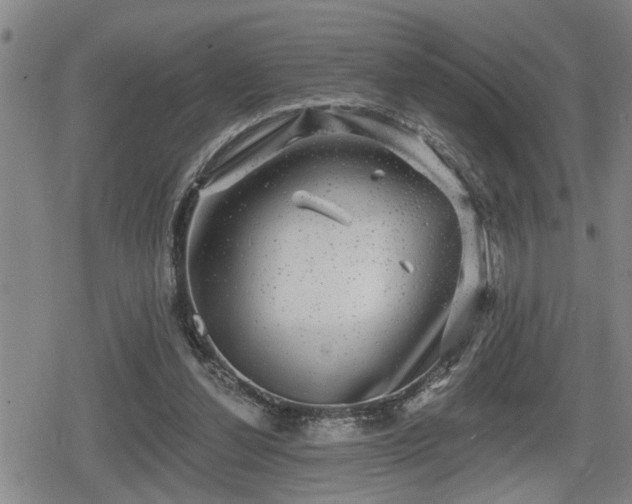 X0000080690252200612221100