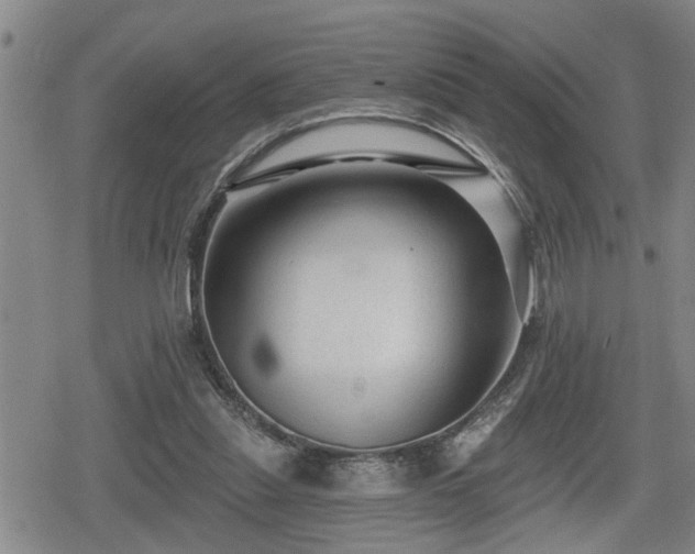 X0000080690253200612221100