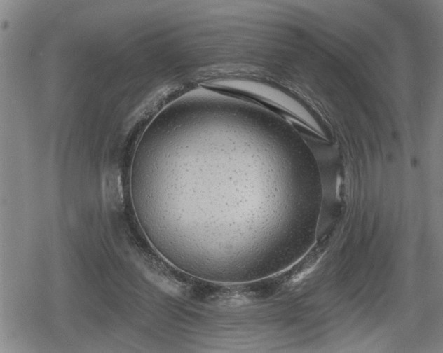 X0000080690254200612221100