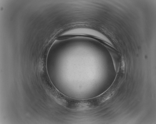 X0000080690255200612221100