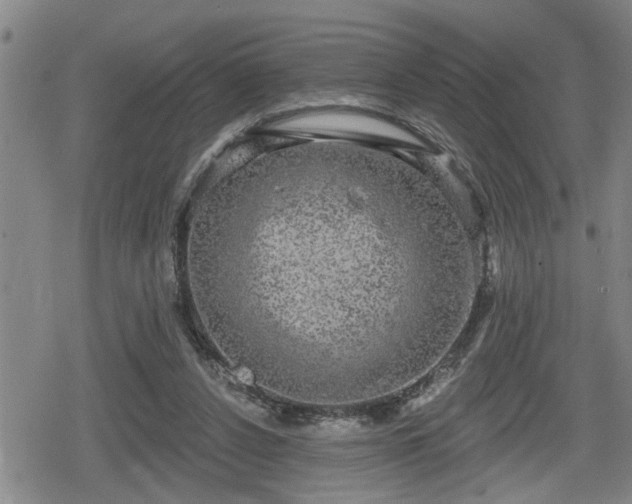 X0000080690256200612221100