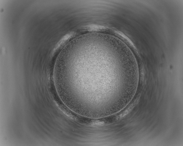 X0000080690257200612221100