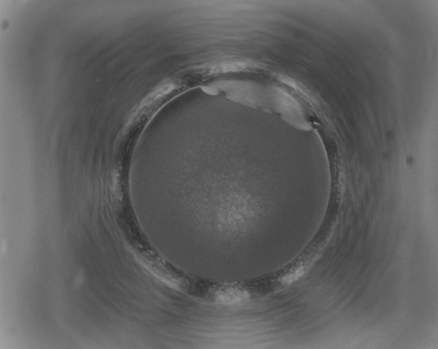 X0000080690258200612221100