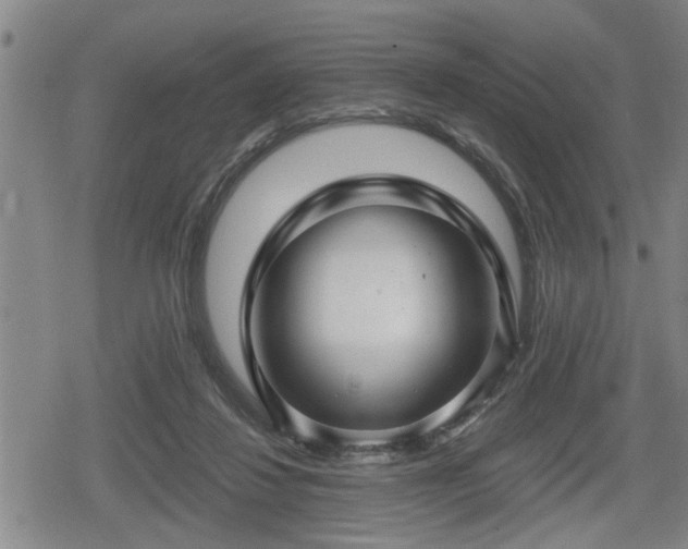 X0000080690260200612221100