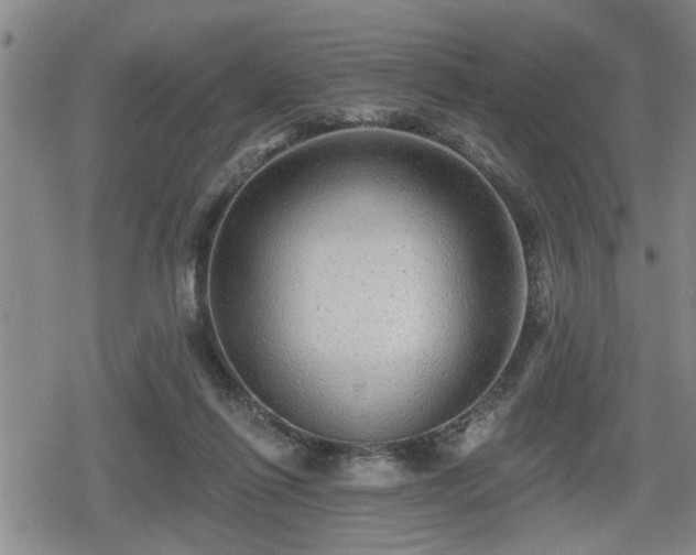 X0000080690262200612221100