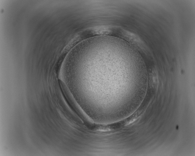 X0000080690263200612221100