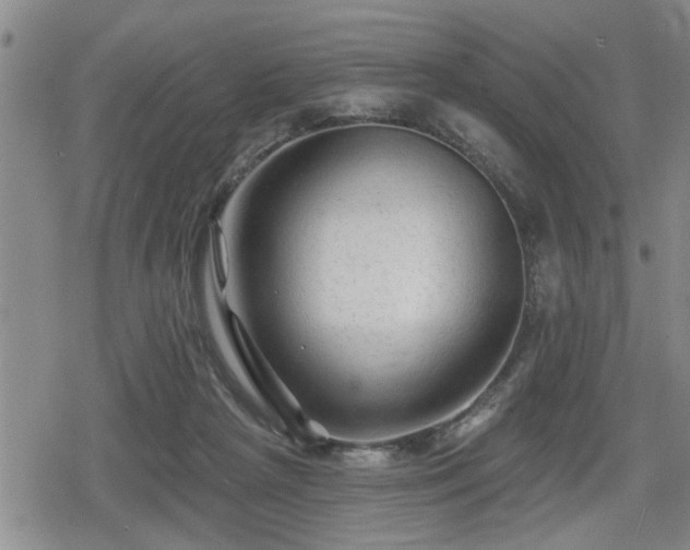 X0000080690265200612221100