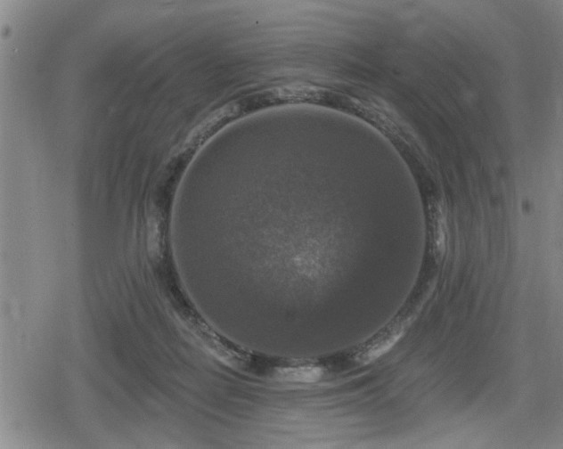 X0000080690266200612221100