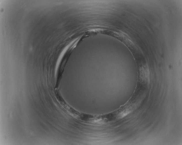 X0000080690267200612221100