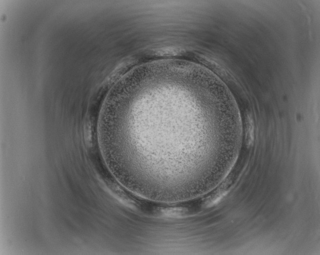 X0000080690268200612221100