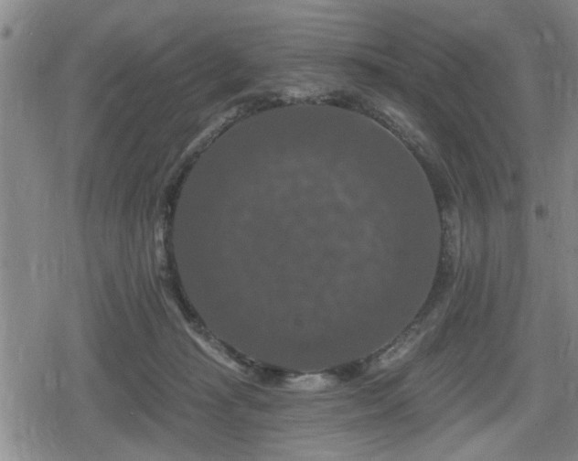 X0000080690269200612221100