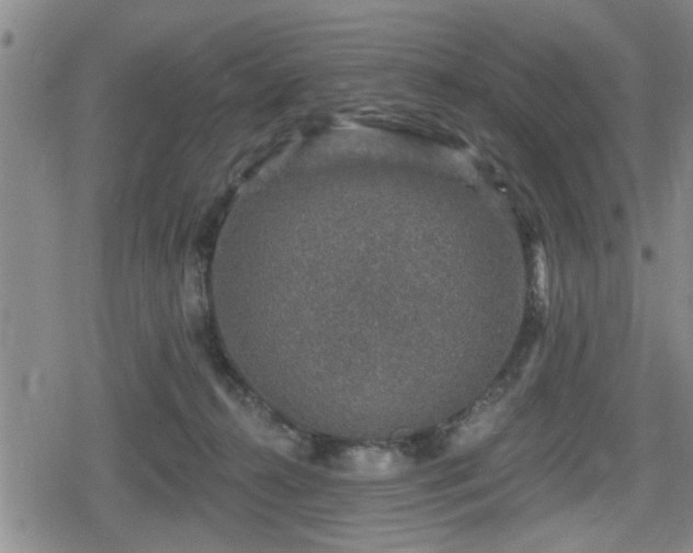 X0000080690272200612221100