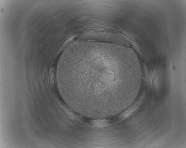 X0000080690273200612221100