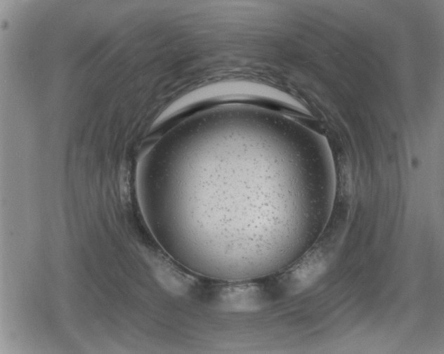 X0000080690274200612221100