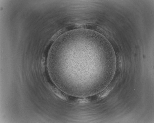 X0000080690275200612221100