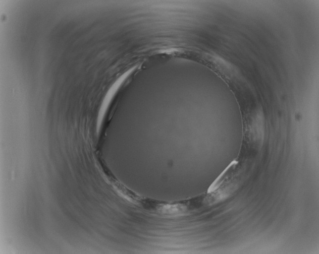 X0000080690277200612221100