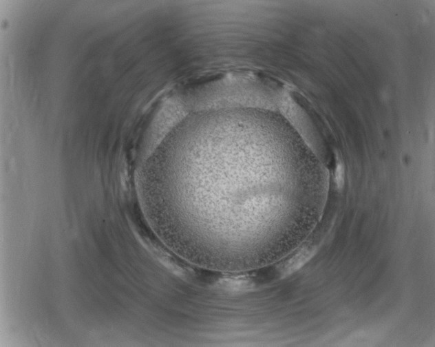 X0000080690280200612221100