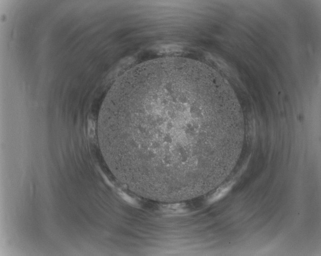 X0000080690281200612221100