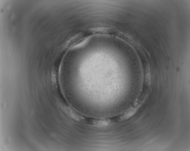 X0000080690282200612221100