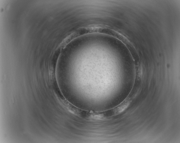 X0000080690283200612221100